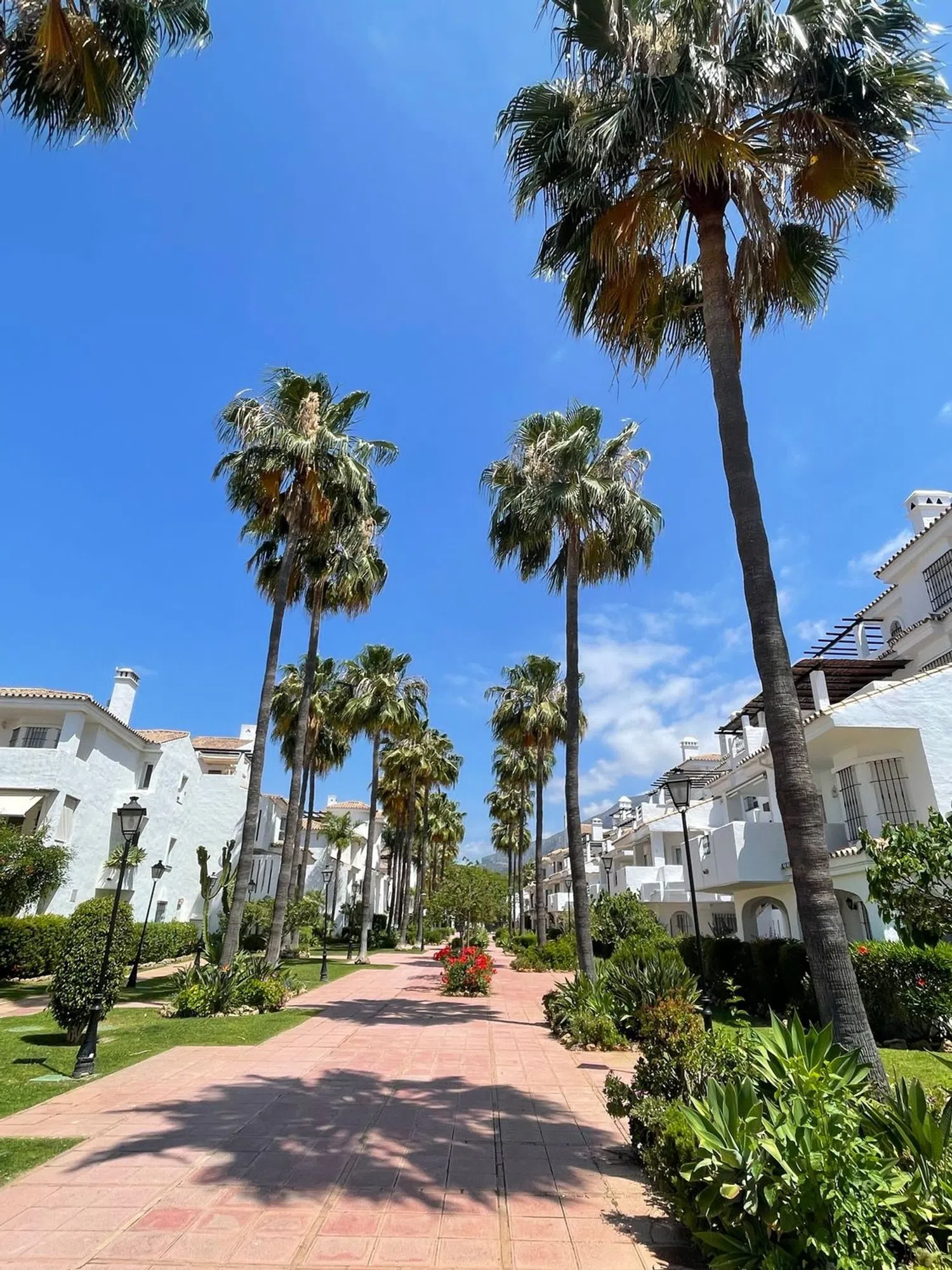 Ático en Urbanización Los Naranjos de Marbella s/n - Foto 16