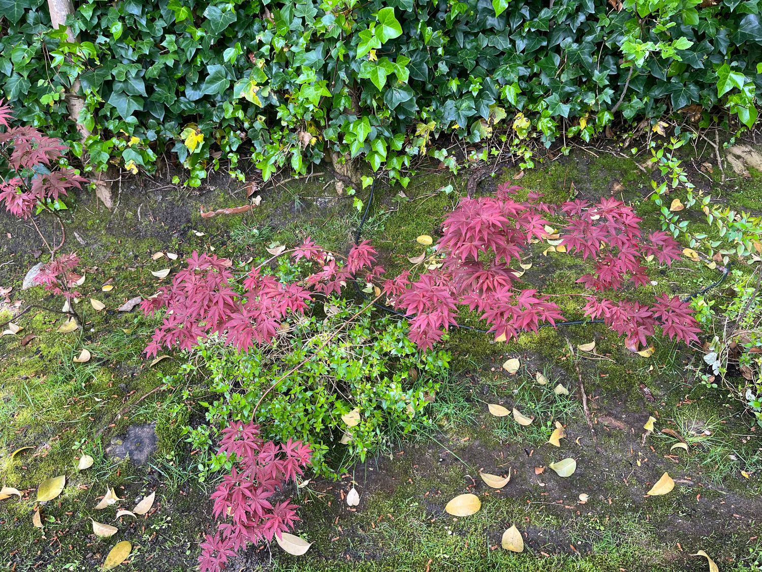Casa independiente en calle de Hoyos del Espino, 17 - Foto 26