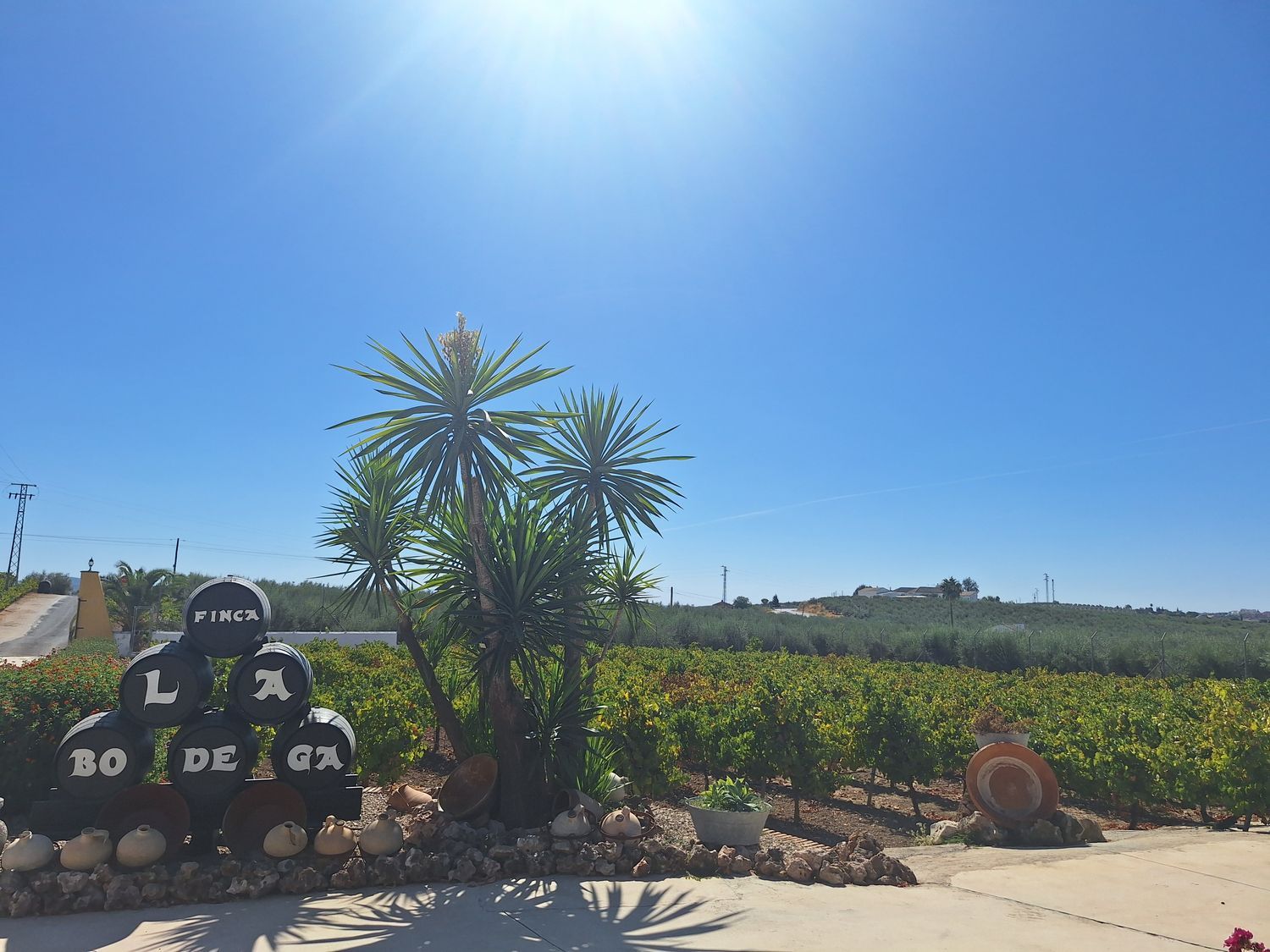 Finca rústica en Carretera Nueva Carteya, 25 - Foto 4