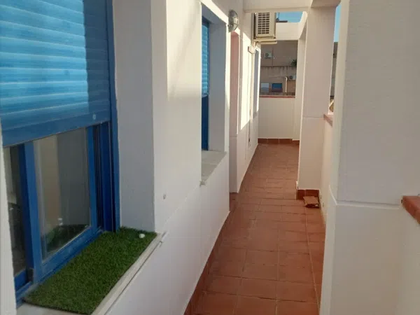 Piso en Calle Zaragüeta, 3, Camino de Antequera - Foto 6