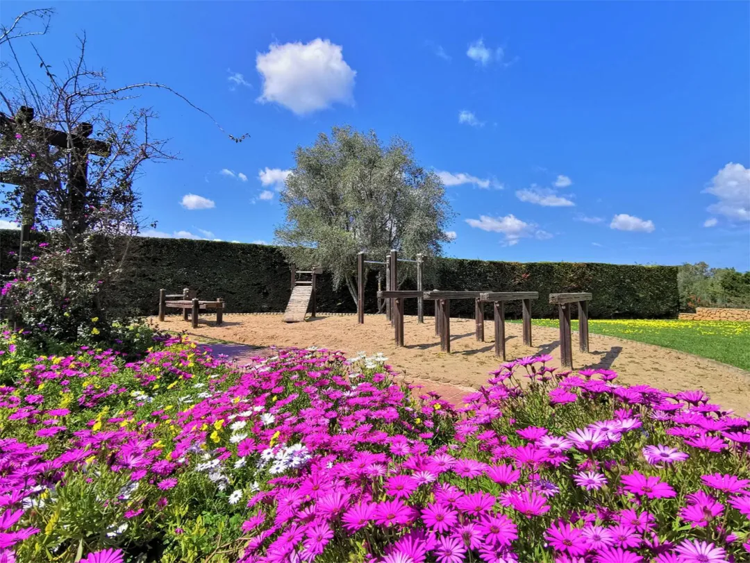 Piso en  Carrer de Castellitx 26 - Foto 24