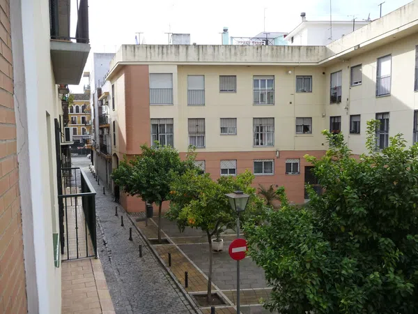 Estudio en Calle Carranza, 10, Parlamento - Torneo - Foto 14