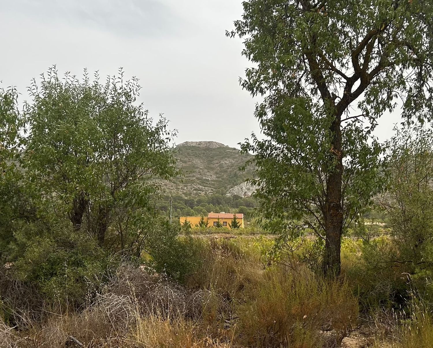 Casa o chalet independiente en Umbria Peñas Blancas Yecla, 31 PoligonoParcela - Foto 23