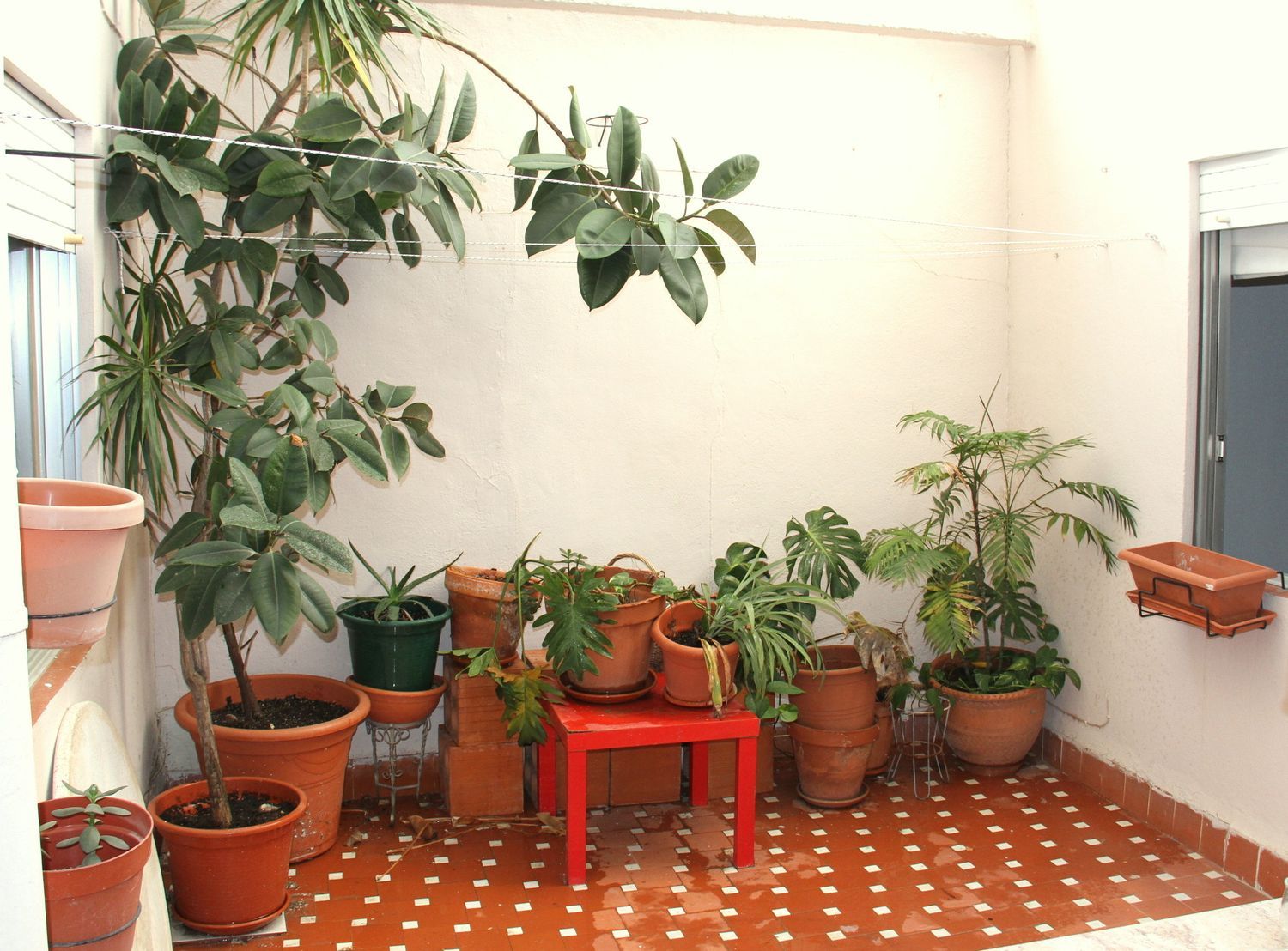 Piso en Calle José Javier, 5, Santa María de Gracia - Foto 15