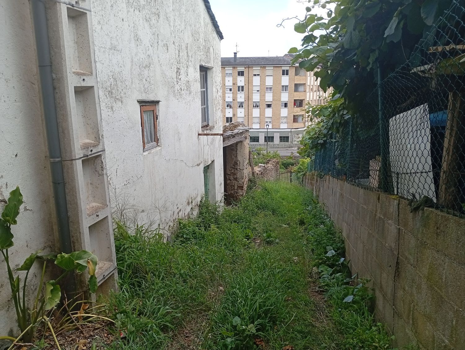 Caserón en Calle Ferreira, 3 - Foto 15