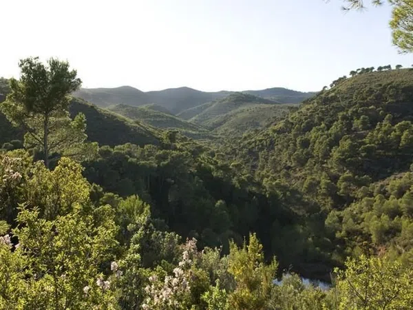 Casa o chalet independiente en Quart de les Valls - Foto 37