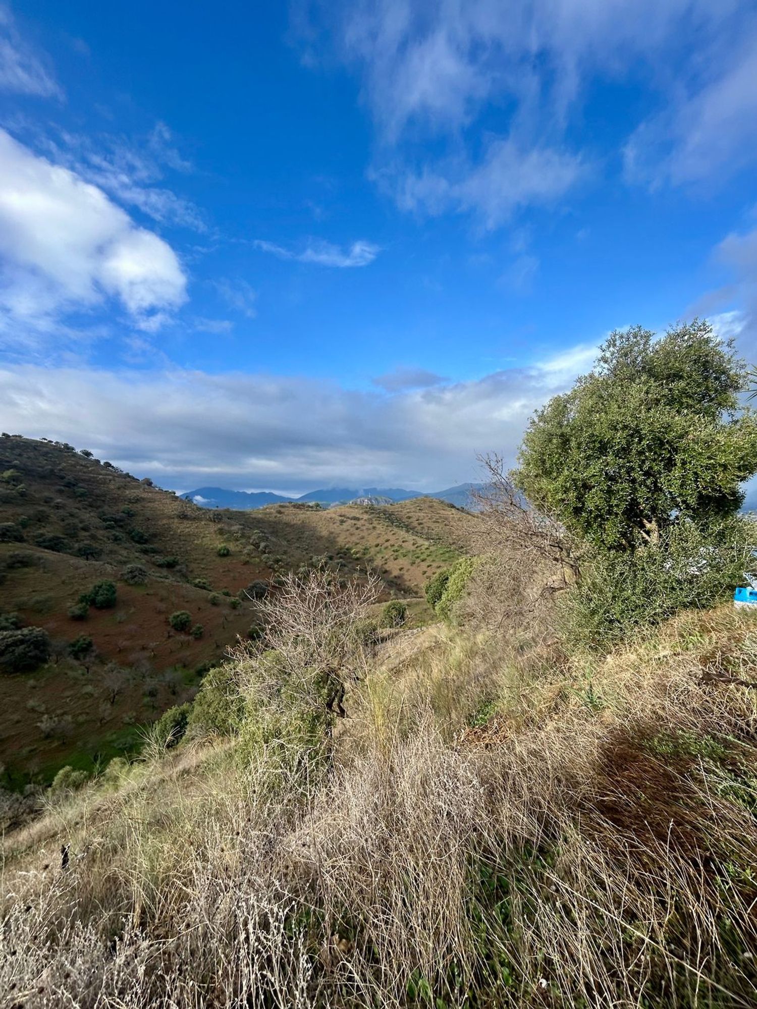 Casa o chalet independiente en Carretera de abdalajis, 1, Cártama pueblo, Cártama pueblo - Foto 10