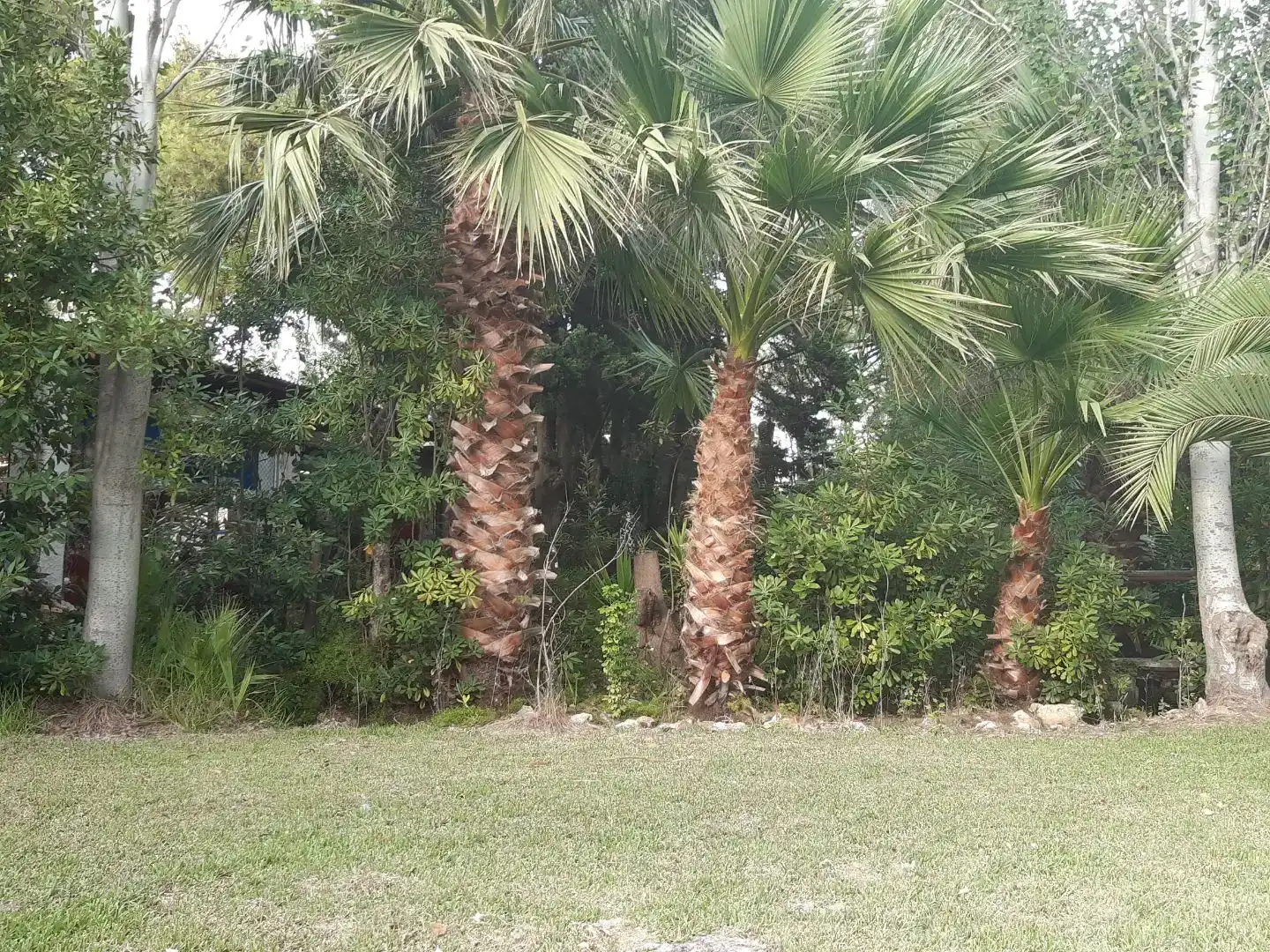 Piso en  Passeig Marítim de Sant Joan de Déu 185 - Foto 19