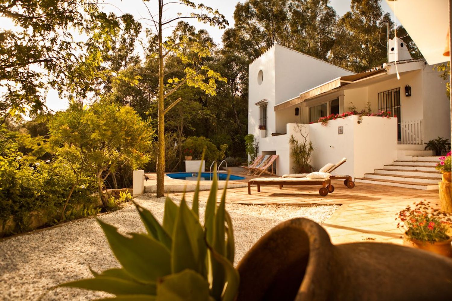 Casa o chalet independiente en Calle de la Palmera, 6, Las Lomas - Foto 21