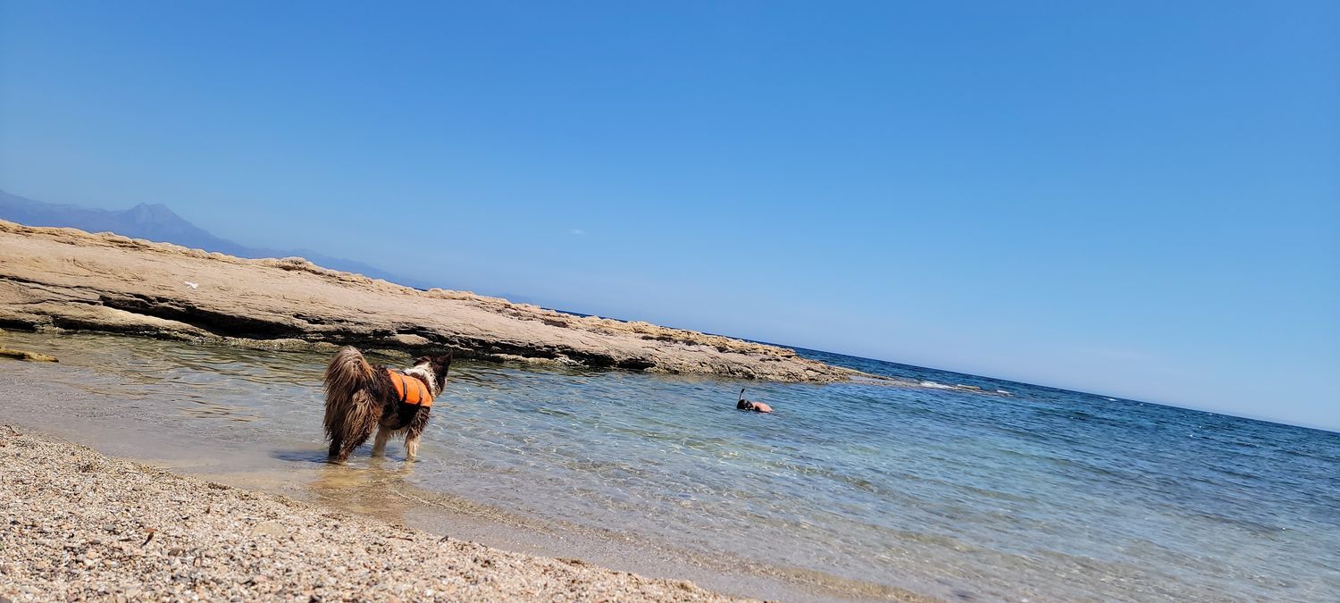 Piso en avenida Benidorm, 18 - Foto 12