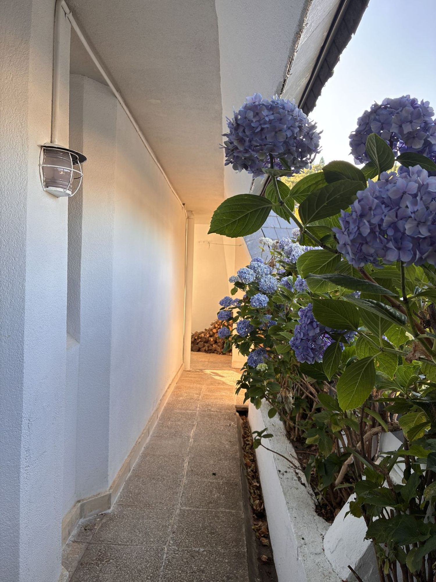 Ático en Calle Timoteo Padrós, 29, Abantos - Carmelitas, Abantos - Carmelitas - Foto 38