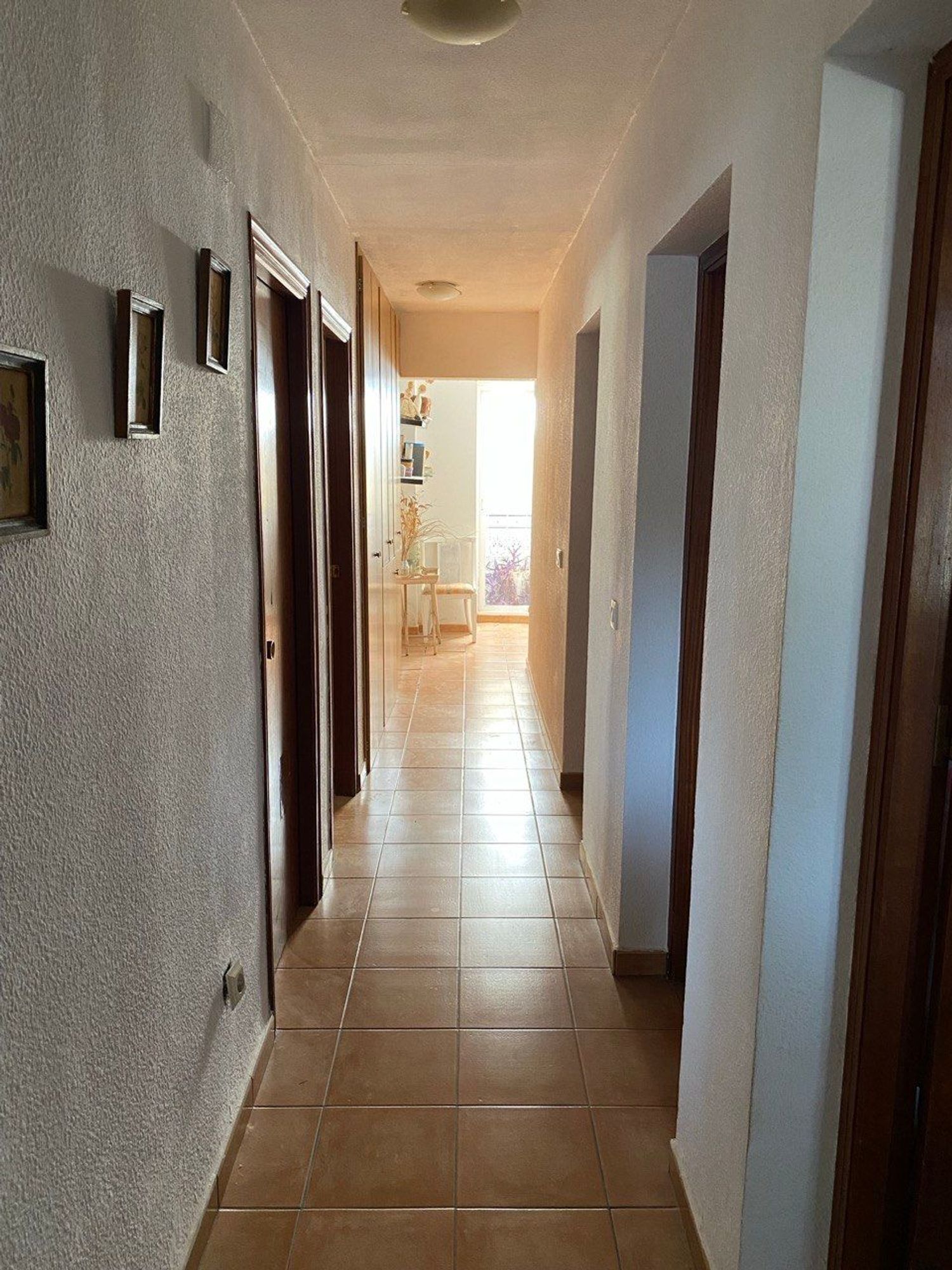 Casa o chalet independiente en Calle de la Violeta, 1, La Huerta, La Huerta - Foto 9
