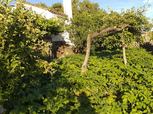 Casa de pueblo en Calle Mellazas, 15 - Foto 2