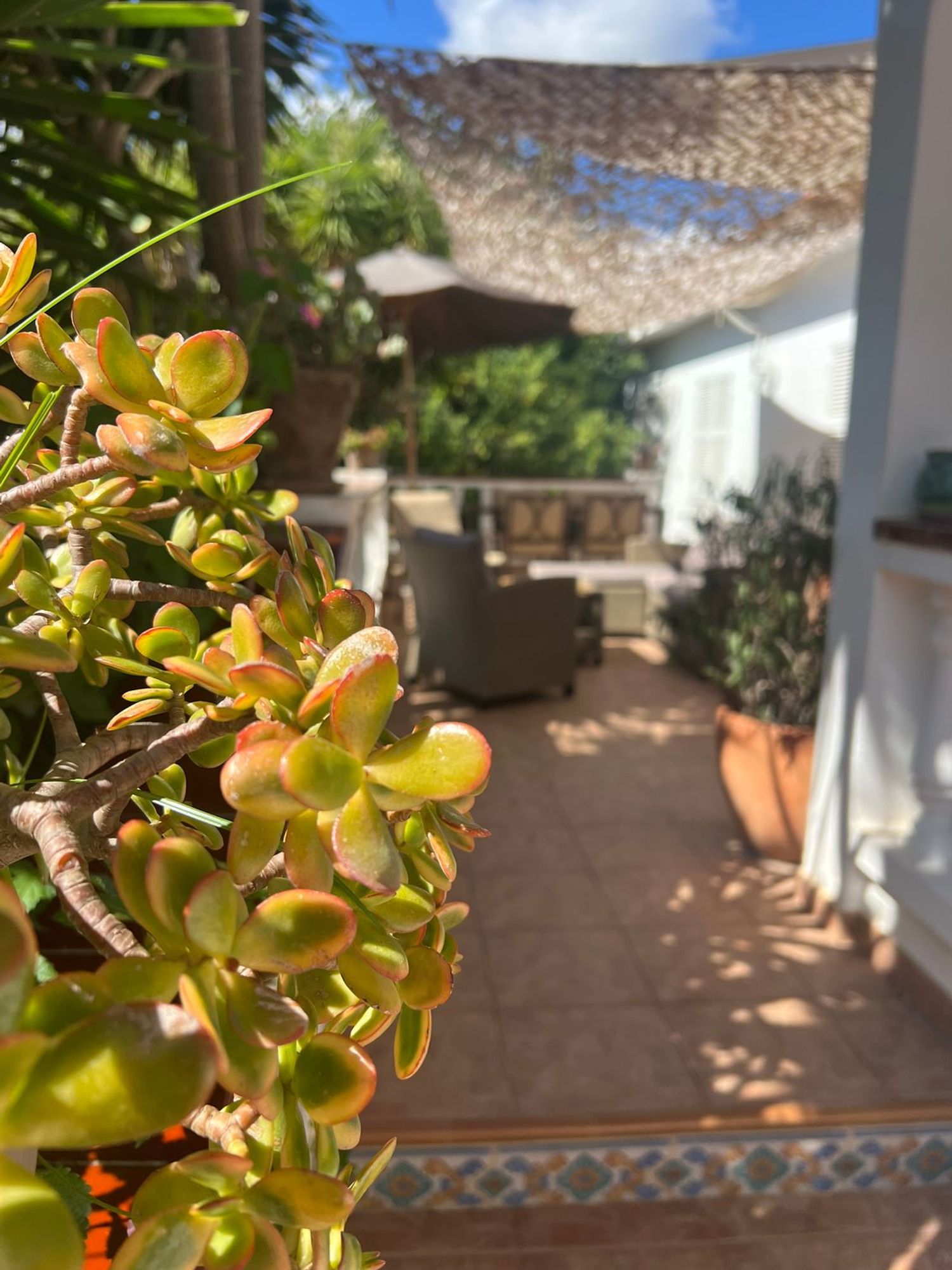 Estudio en Calle de sa Manega, 8 - Foto 4