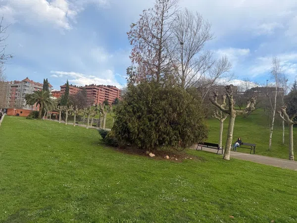 Piso en Barrio Parque del Oeste - Foto 3