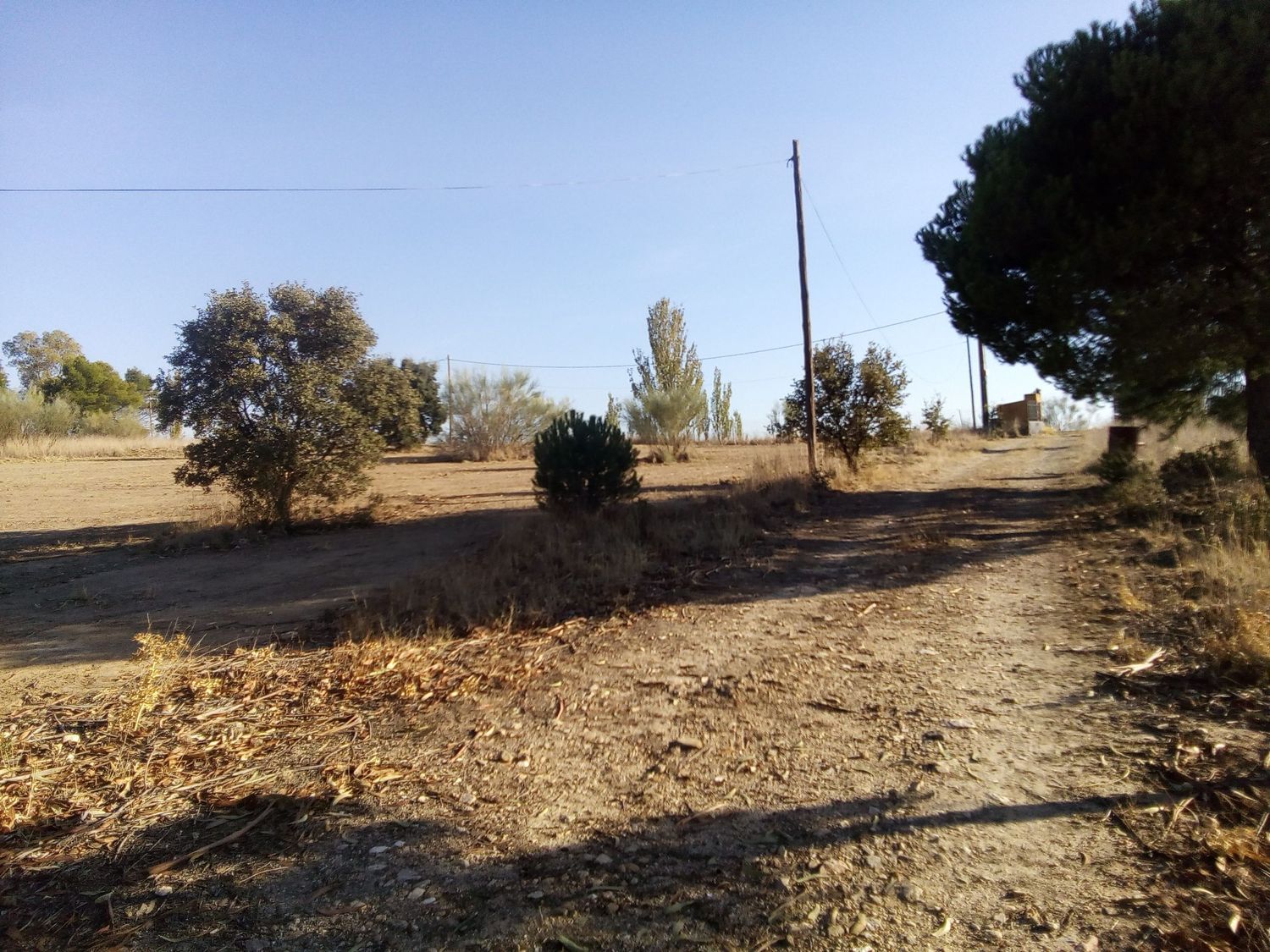 Finca rústica en camino de las laderas, 45 - Foto 23