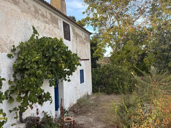 Finca rústica en Camino de Setenil a Alcalá del Valle s/n - Foto 2