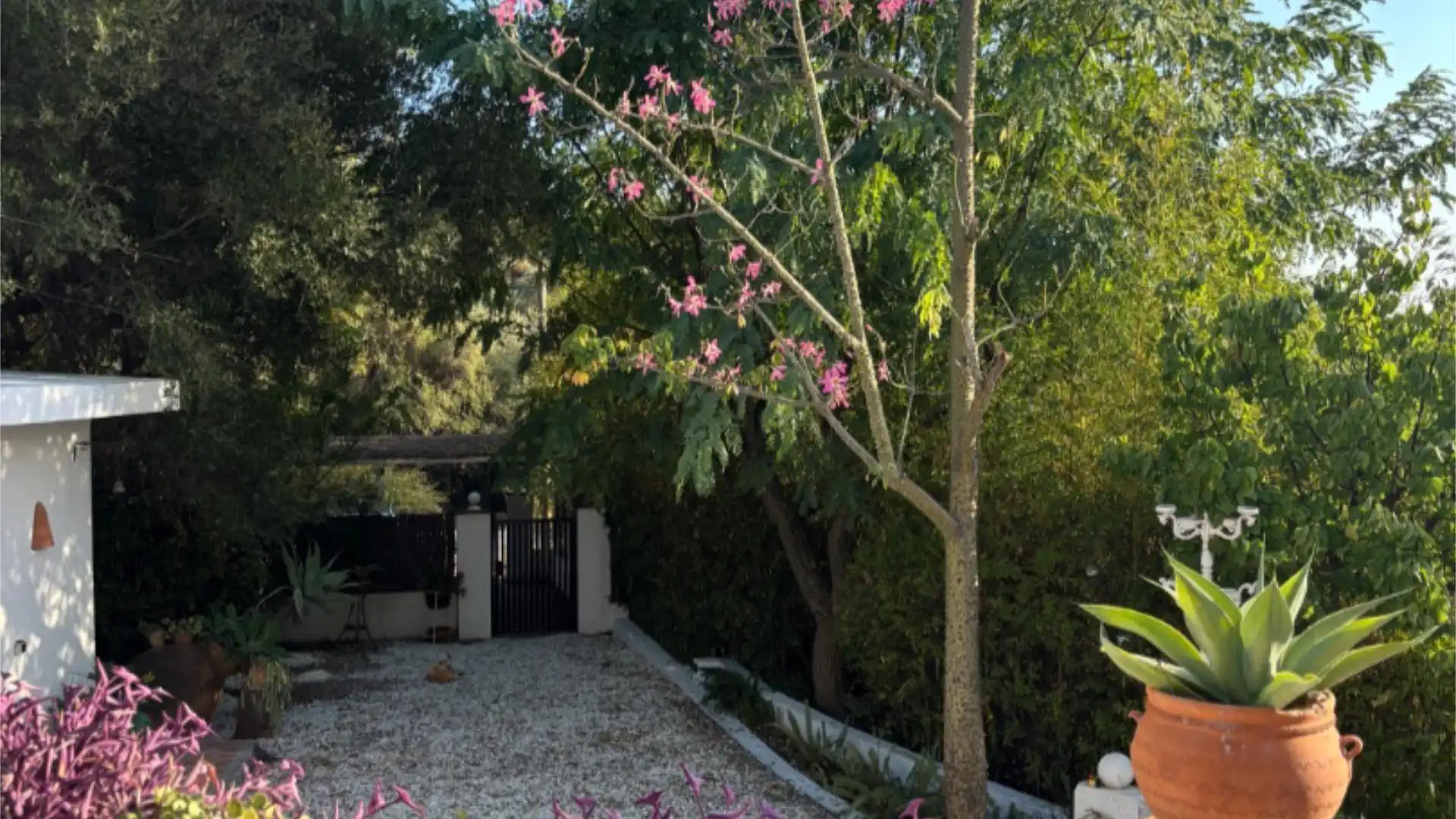 Chalet en  Calle de la Palmera 6 - Foto 7