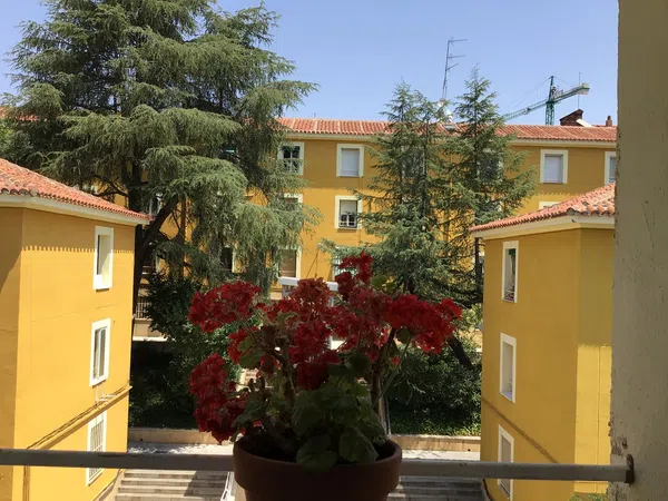 Piso en Barrio Bernabéu-Hispanoamérica