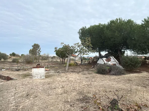 Casa rural en Extramuros Diseminado, 404 - Foto 18