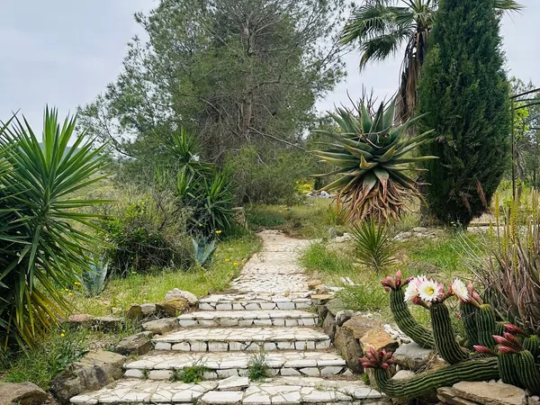 Finca rústica en Zarcilla de Ramos-Doña Inés - Foto 18