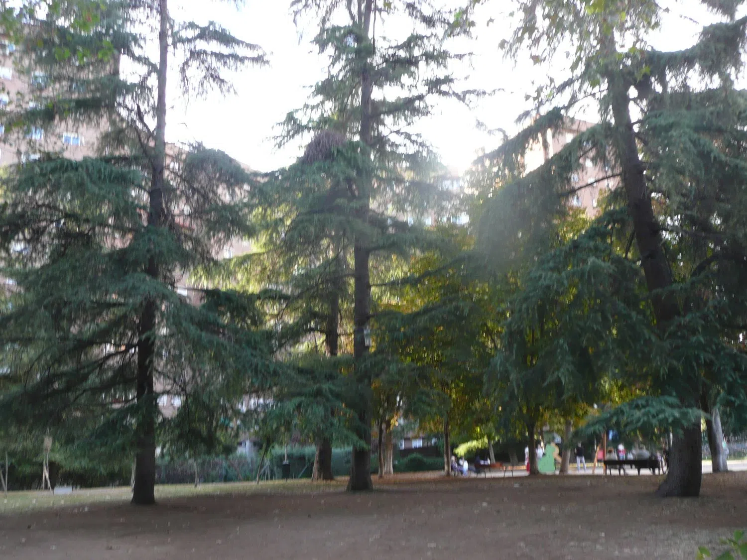 Piso en Barrio Media Legua - Foto 24