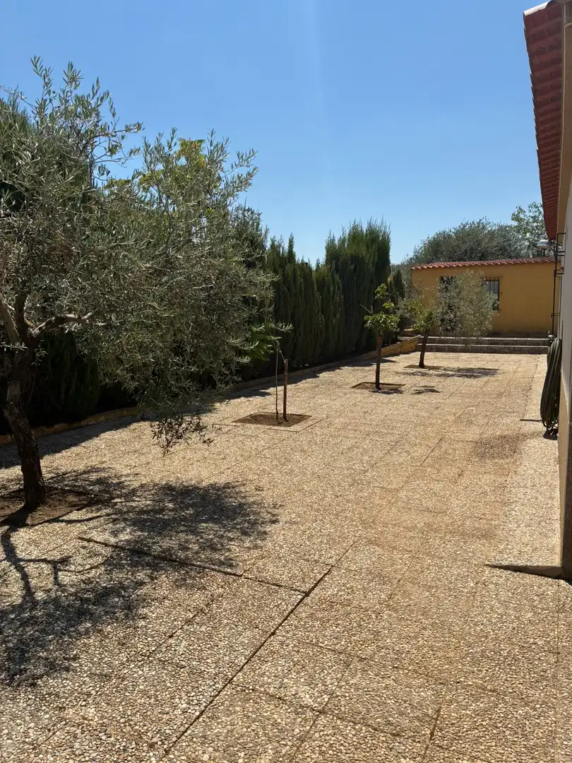 Finca rústica en  Calle Paleras 1E - Foto 3