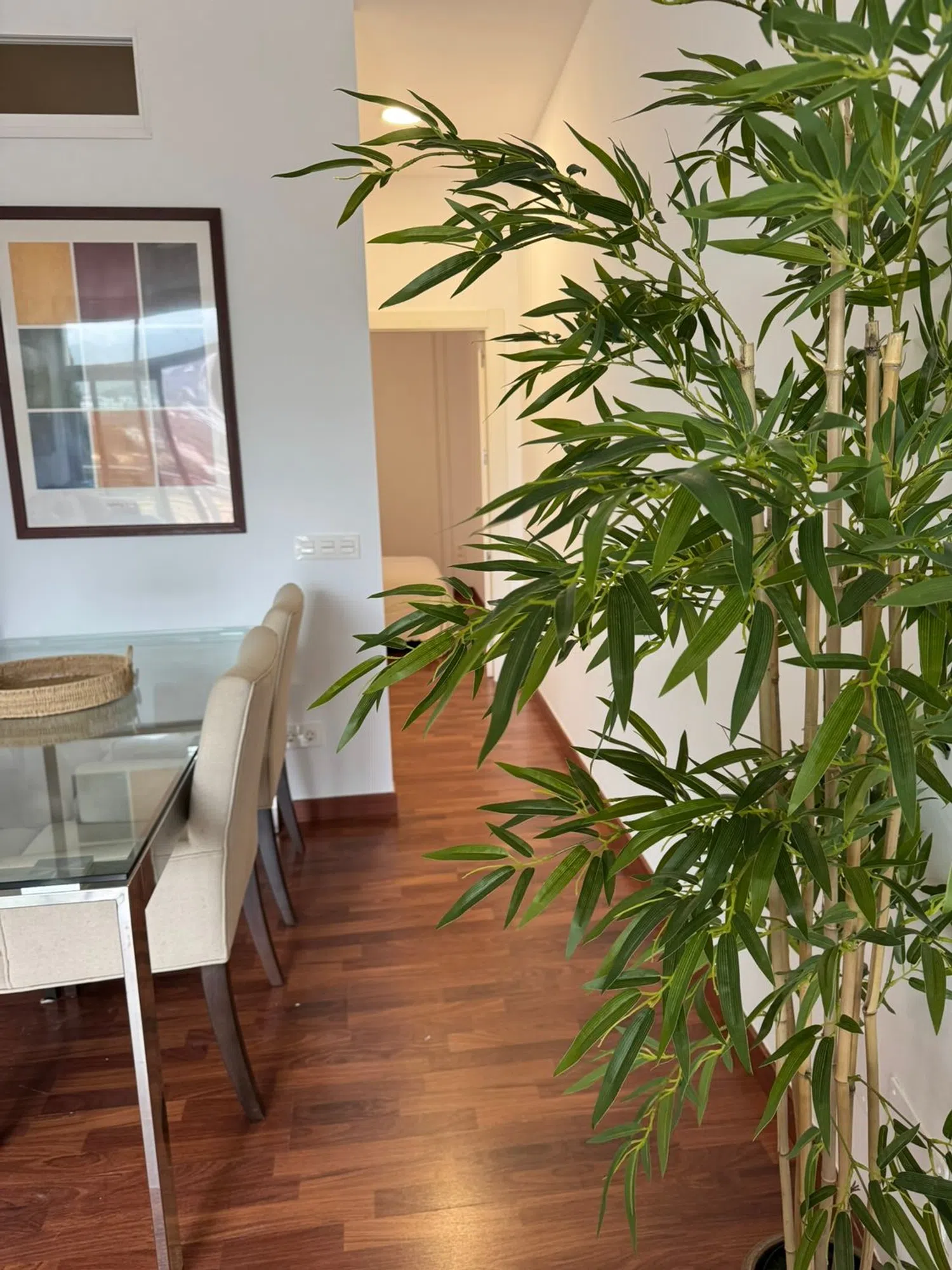 Estudio en Barrio Malagueta - Monte Sancha - Foto 6