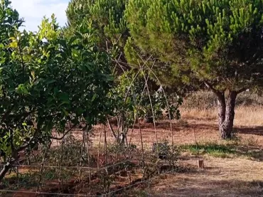 Finca rústica en  Calle la Vega 14 - Foto 5