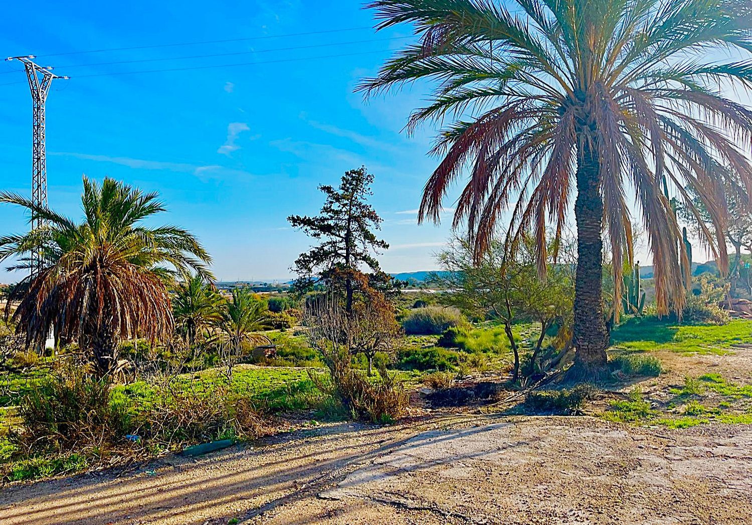 Finca rústica en camino Viejo de Saladas, 2 - Foto 22