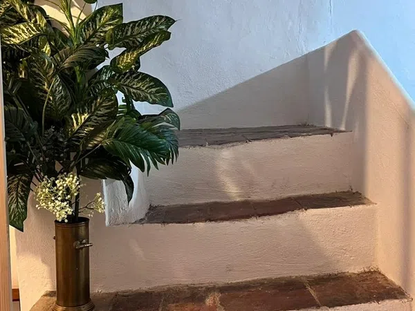 Casa de pueblo en Calle Miguel Cervera, 2 - Foto 19