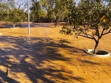 Piso en  Camino Guiral 19 - Foto 6