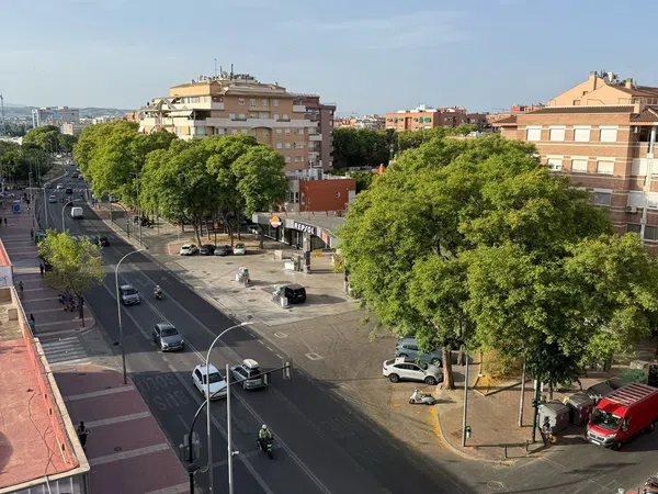 Piso en Plaza del Profesor Tierno Galván, 12, El Ranero-San Basilio - Foto 1