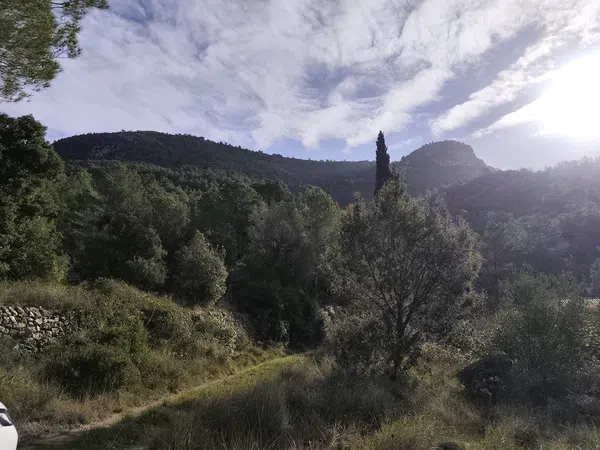 Finca rústica en Vall de sant Marc, la torrussolla s/n - Foto 15