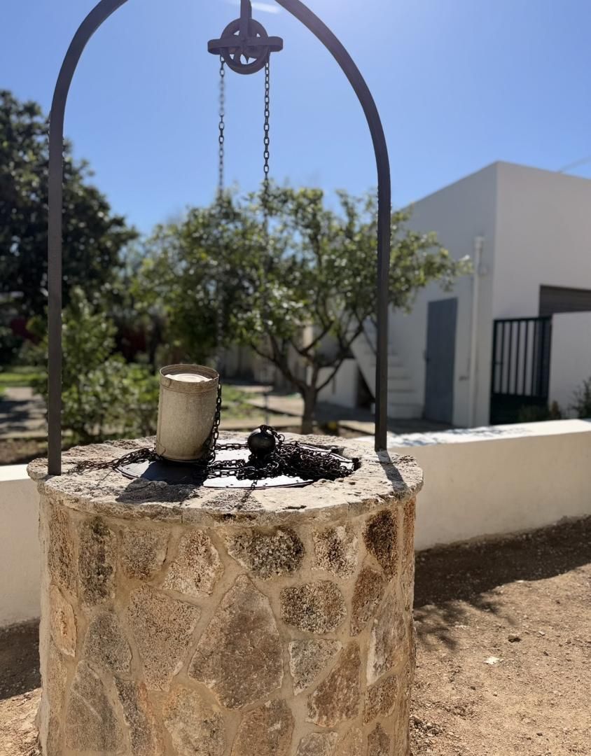 Planta baja en  Carrer de Can Socies 6 - Foto 3