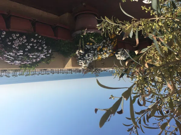 Ático en Barrio Playa de la Malvarrosa - Foto 1