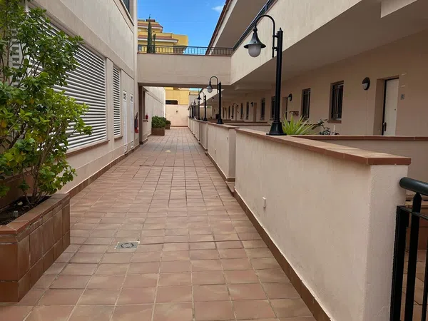 Piso en Calle Alcalde Juan García Dorta, 87 - Foto 2