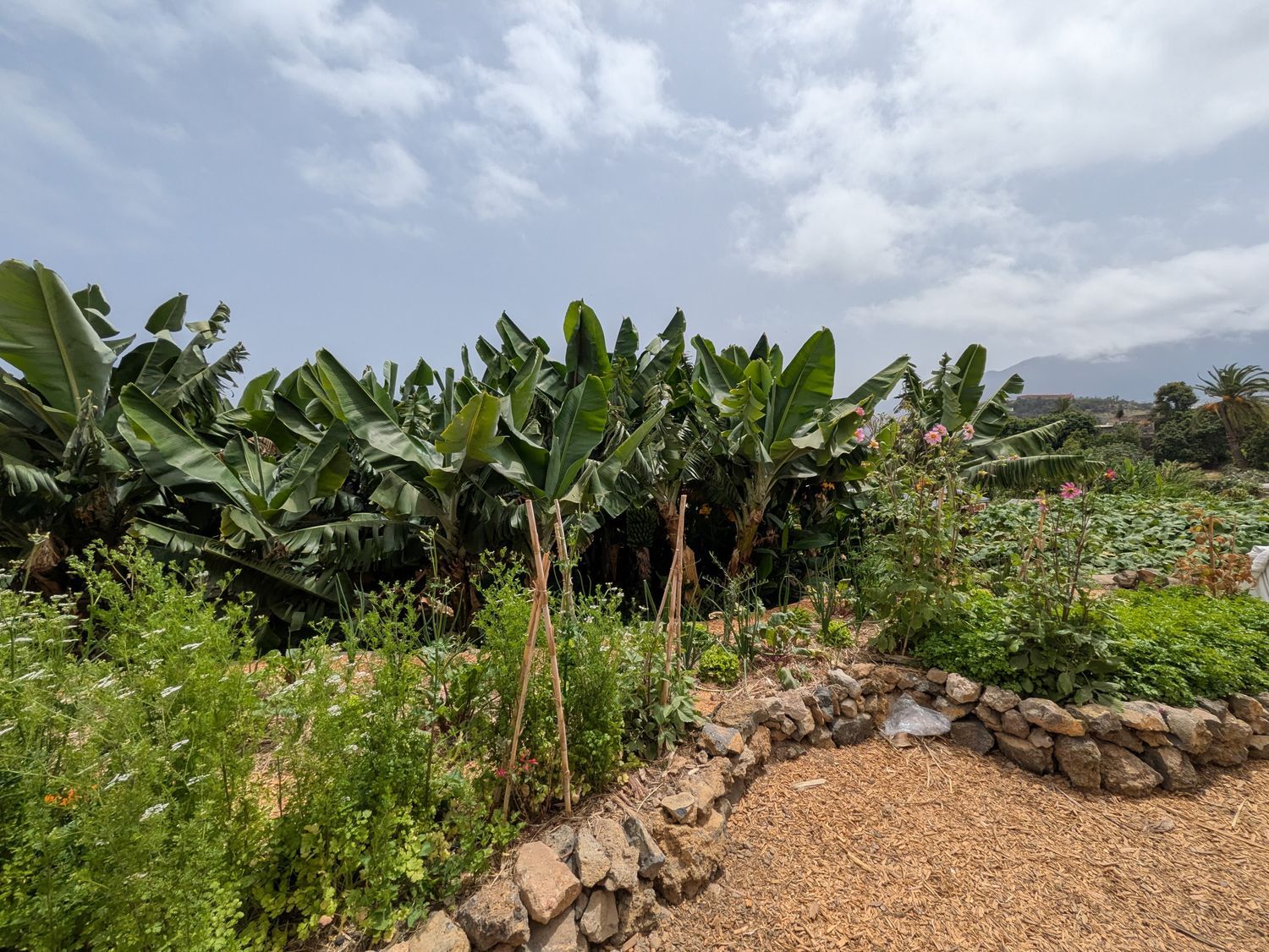 Casa rural en camino Carril, 39 - Foto 19