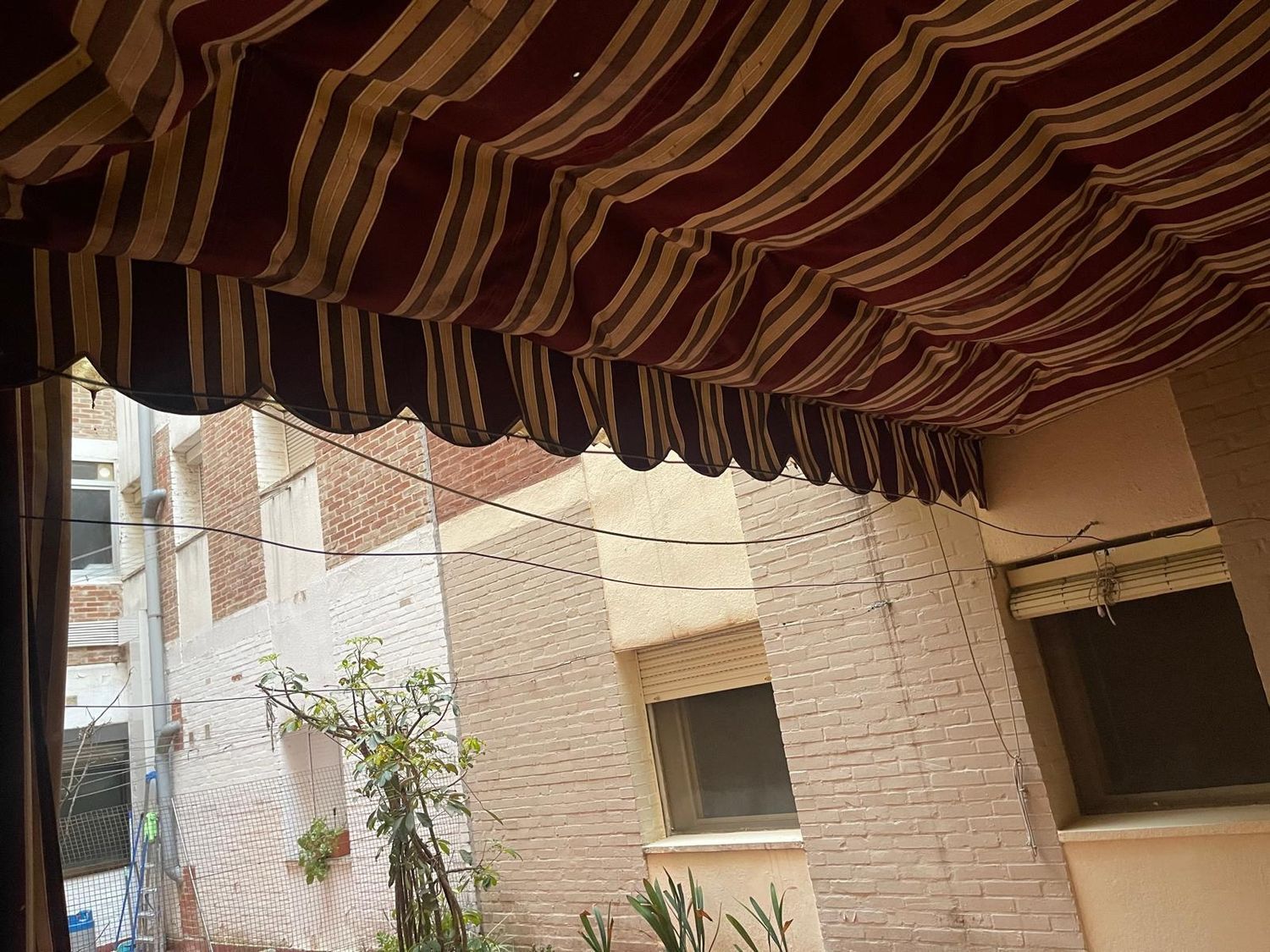 Piso en pintor Espinosa, 3 - Foto 18