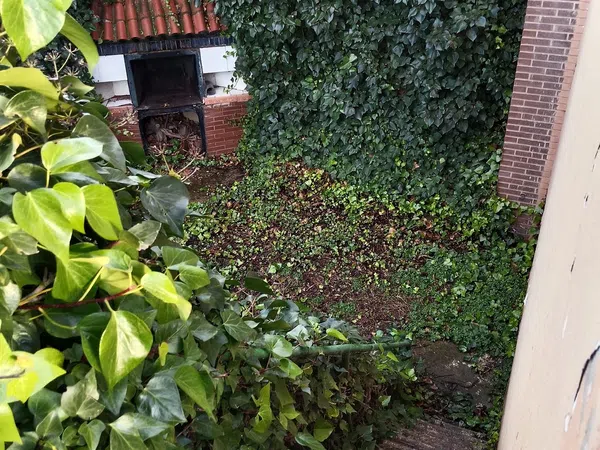 Finca rústica en camino Fuente la Junquera s/n - Foto 19