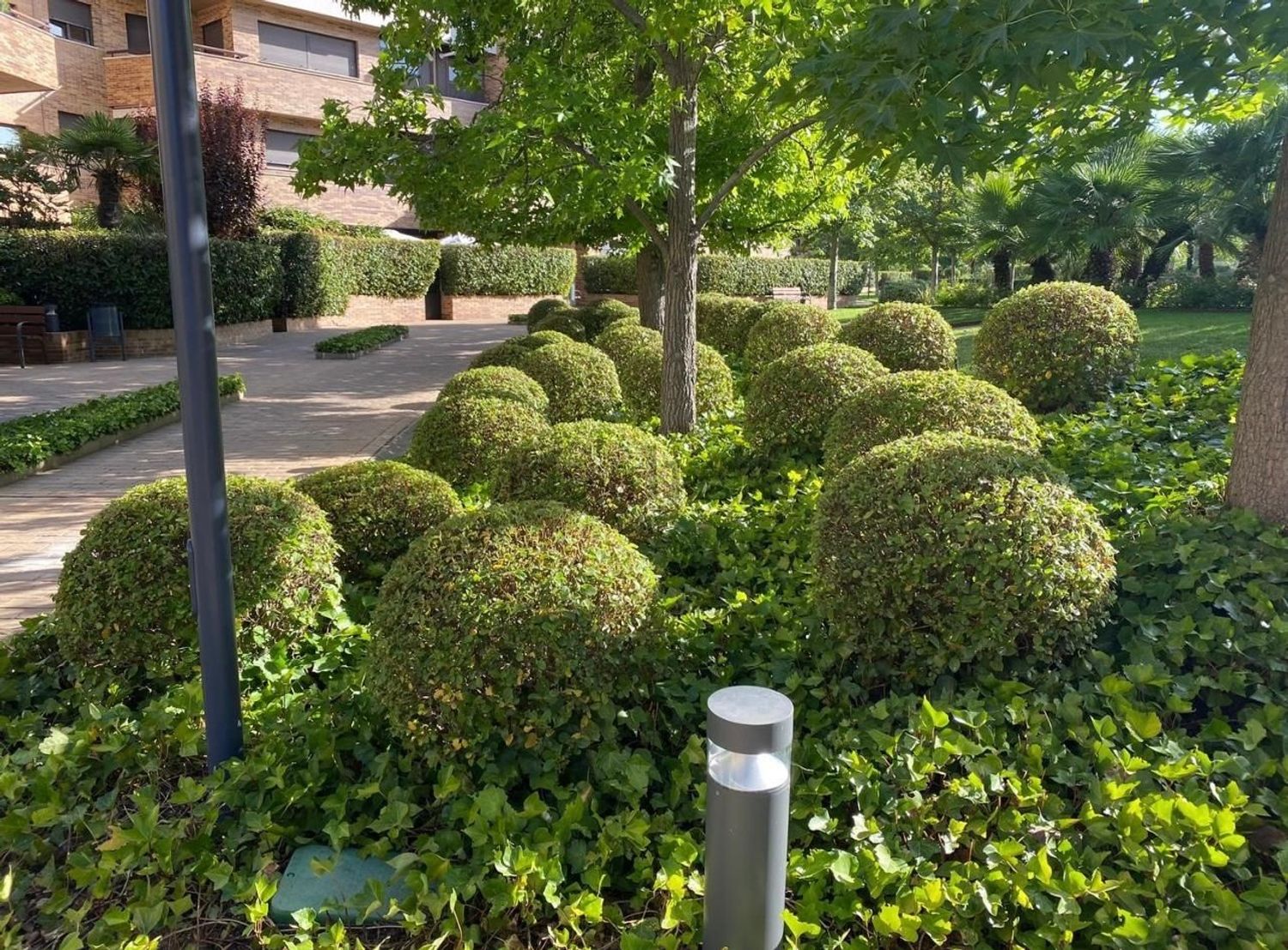 Dúplex en avenida Guadarrama, 6 - Foto 7