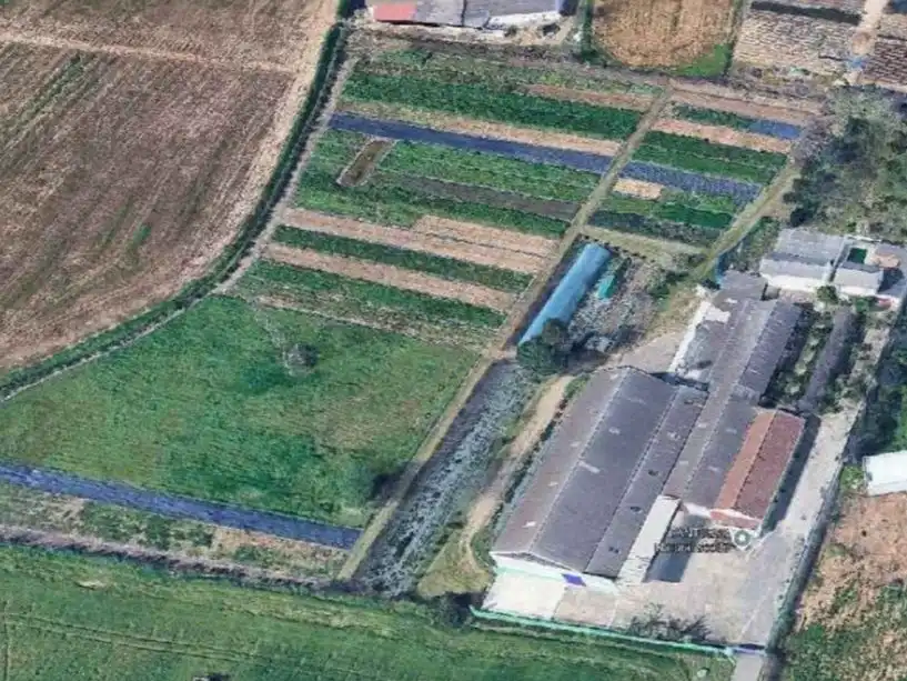 Finca rústica en  Carretera Palma del Río km 10 - Foto 2