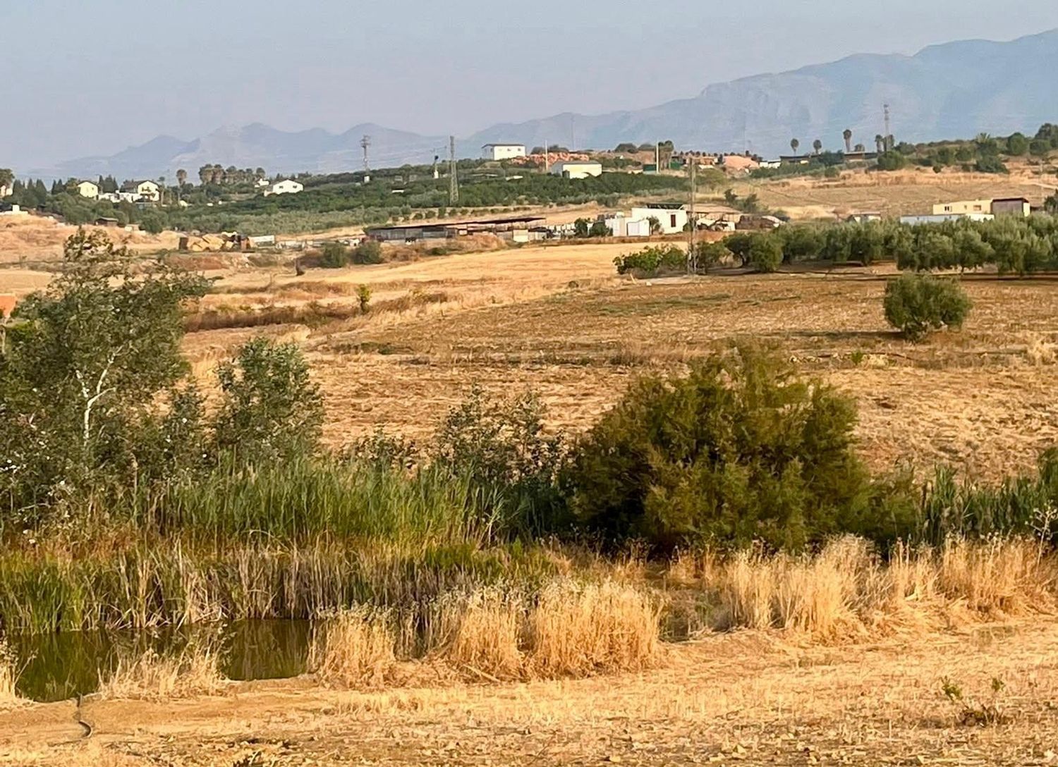 Casa rural en Casa Palma, 168, Cártama pueblo, Cártama pueblo - Foto 19