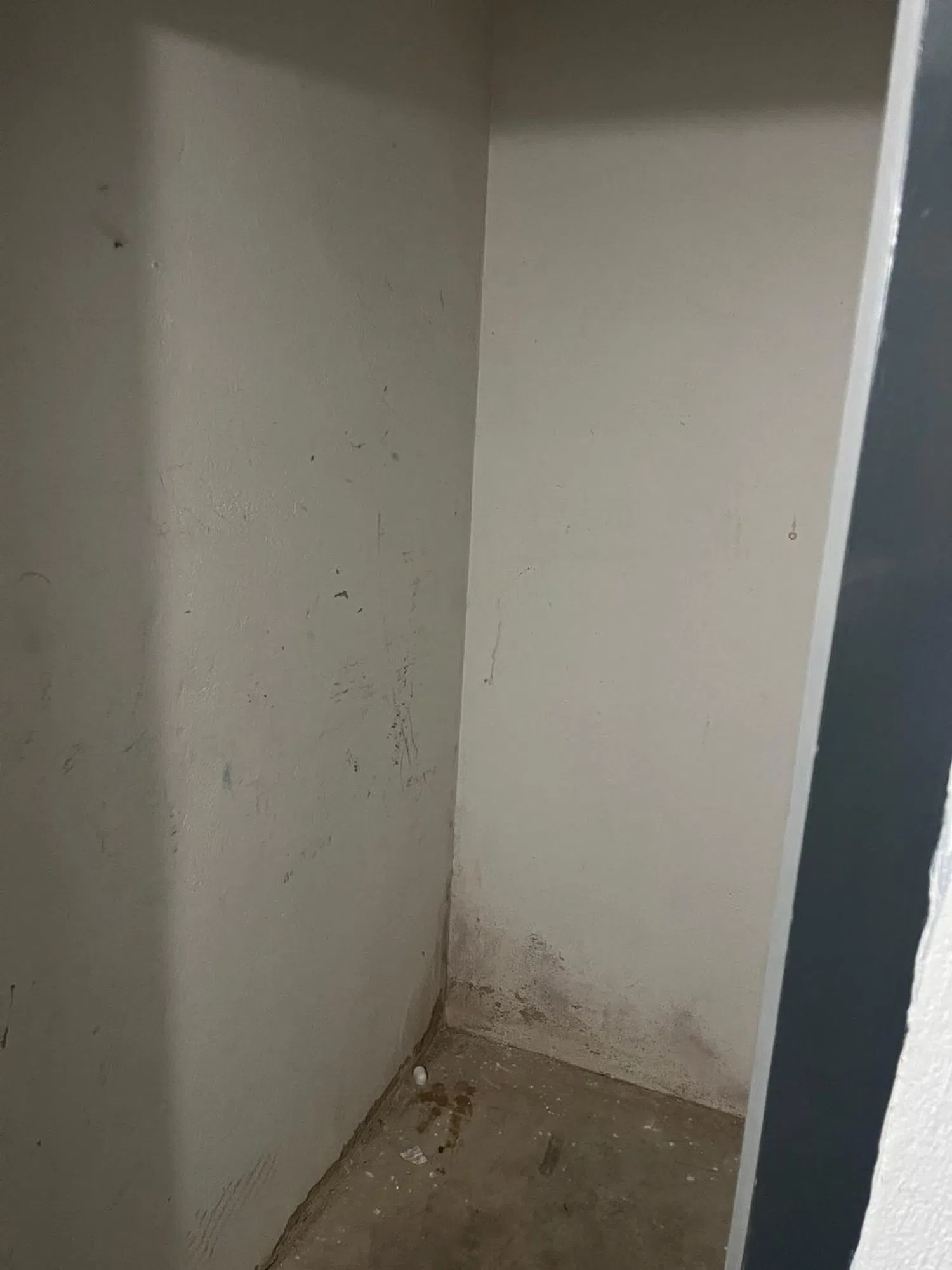 Piso en calle de Mariné, 48 - Foto 14