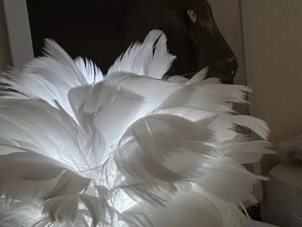 Piso en calle Antonio Gala, 10