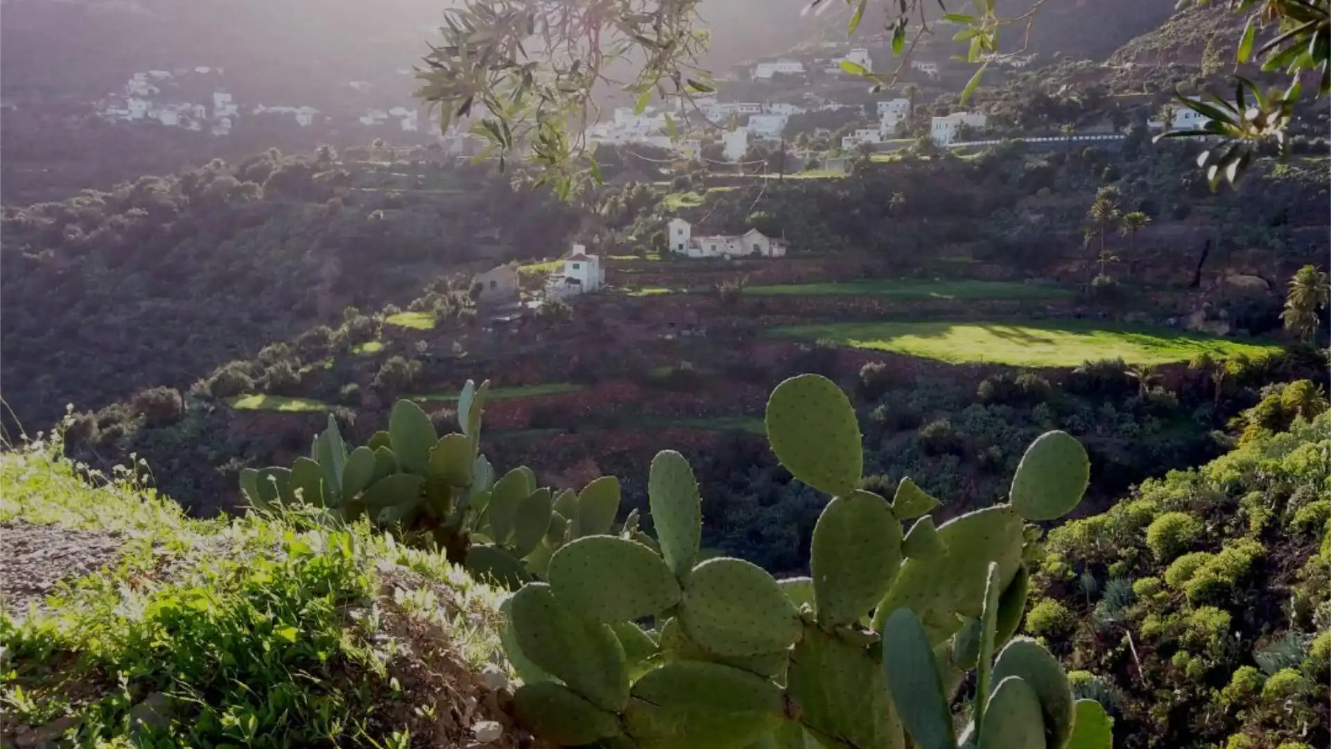 Finca rústica en calle Calle Espíritu Santo 15 - Foto 31