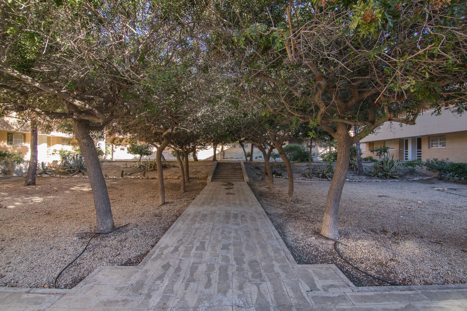 Dúplex en calle Tresmall, 1 - Foto 36