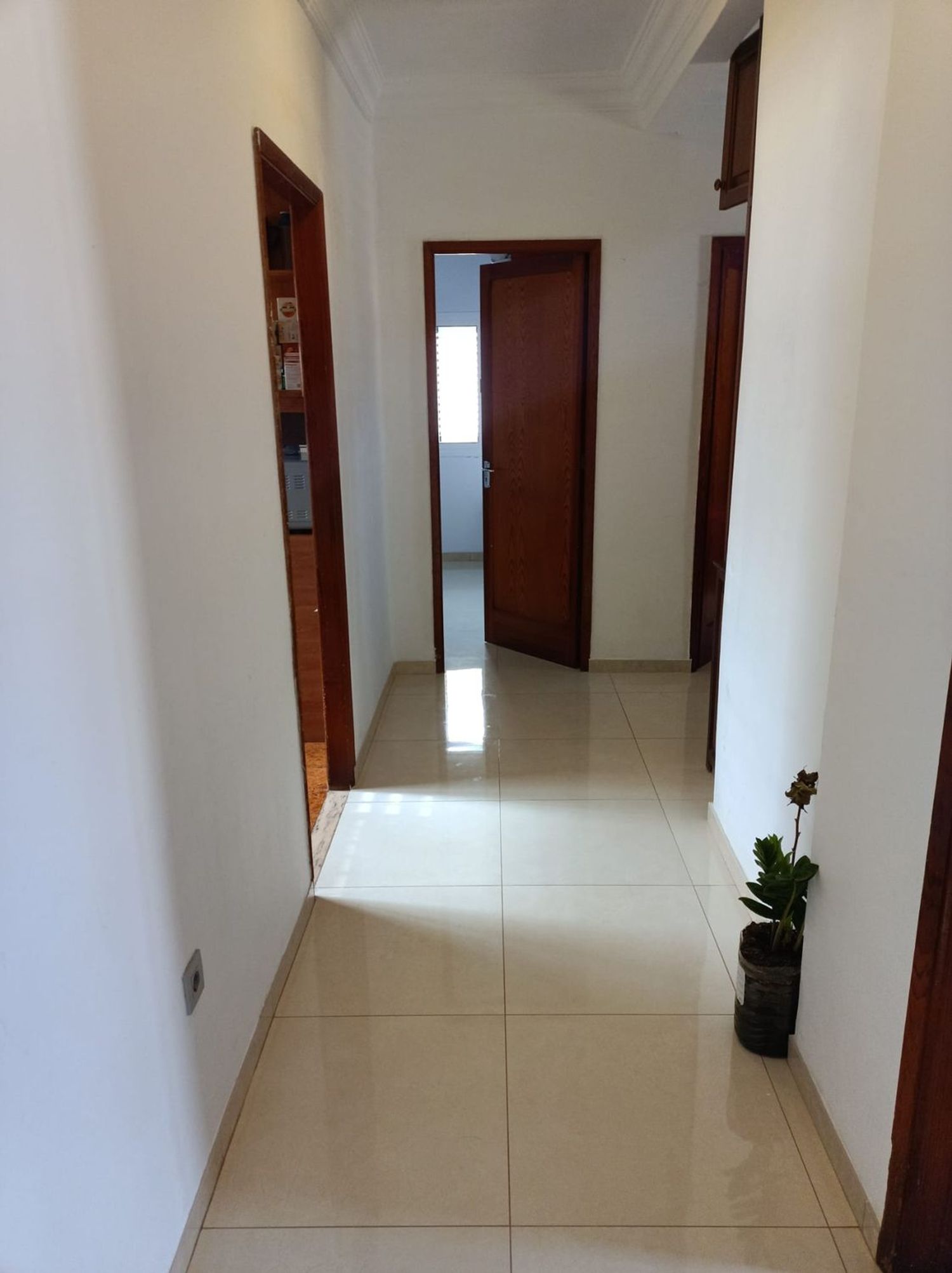 Piso en Laureano de Armas, 16, San Juan de Dios-Salto del Negro-Playa de la Laja - Foto 8