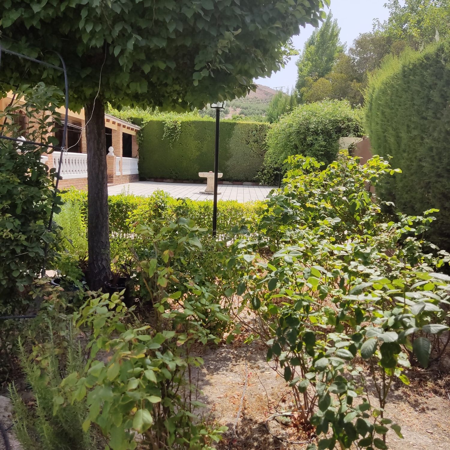 Casa o chalet independiente en Puente Jontoya, Jaén, 3200 - Foto 13