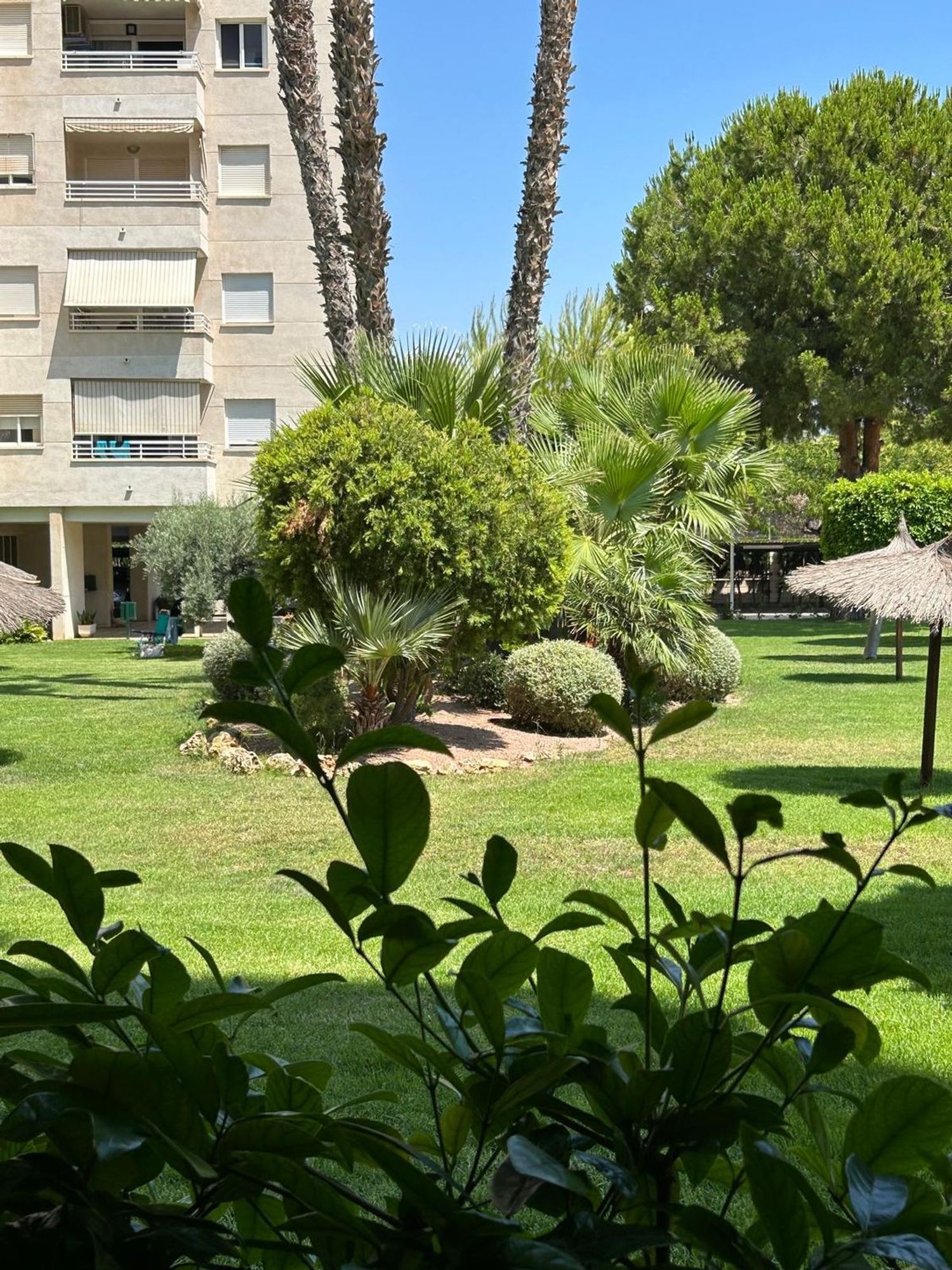 Piso en Avenida Oviedo, 15, Playa de San Juan - Foto 5